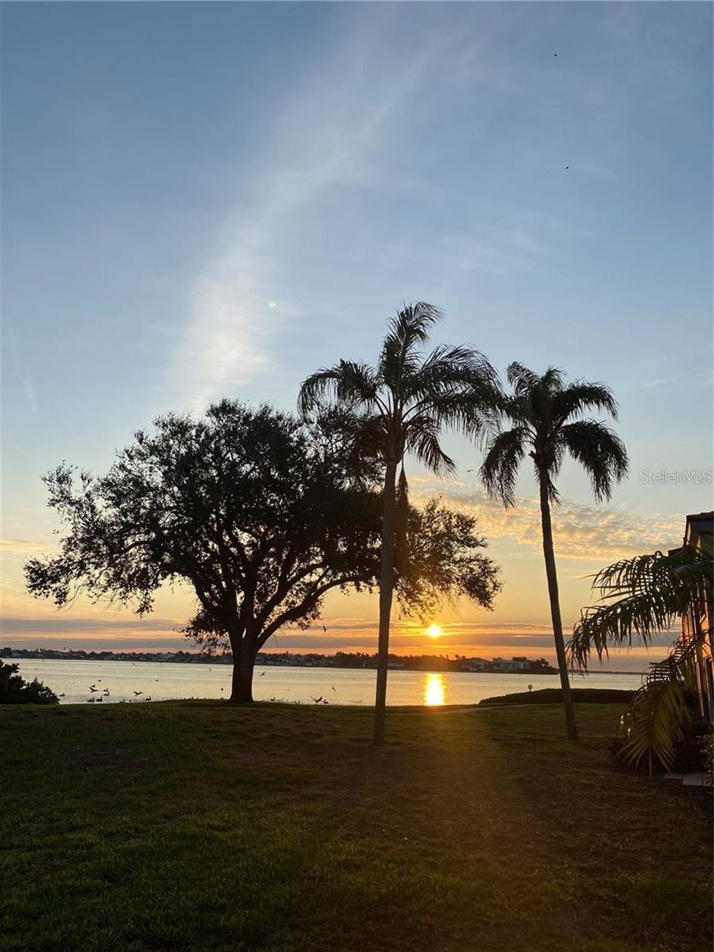 Photo of 6104 Palma Del Mar Boulevard S #102, St Petersburg, FL 33715 (MLS # TB8504277)