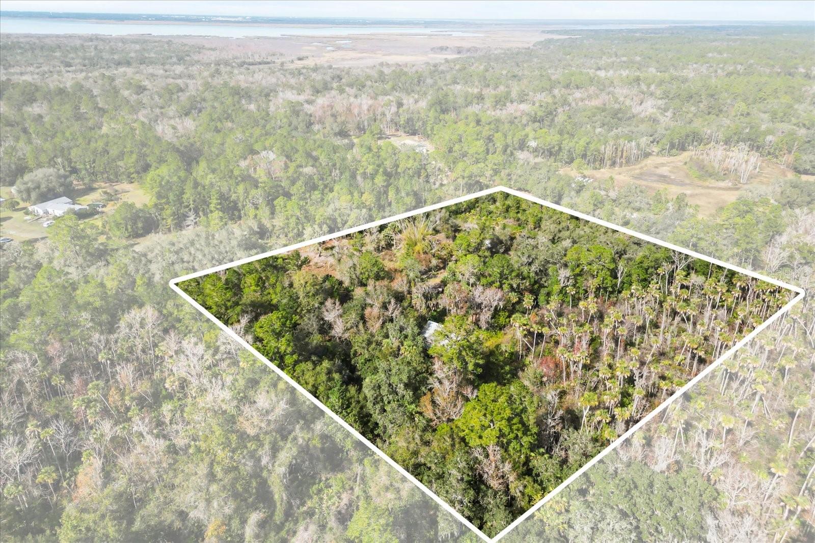 COCKRAN FOREST 5 ACRE DEV 21 PARCELS - Residential