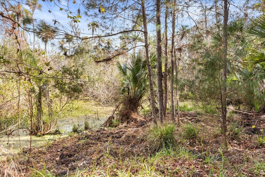 Photo of 1705 Sunset Trail, Geneva, FL 32732 (MLS # O6372526)