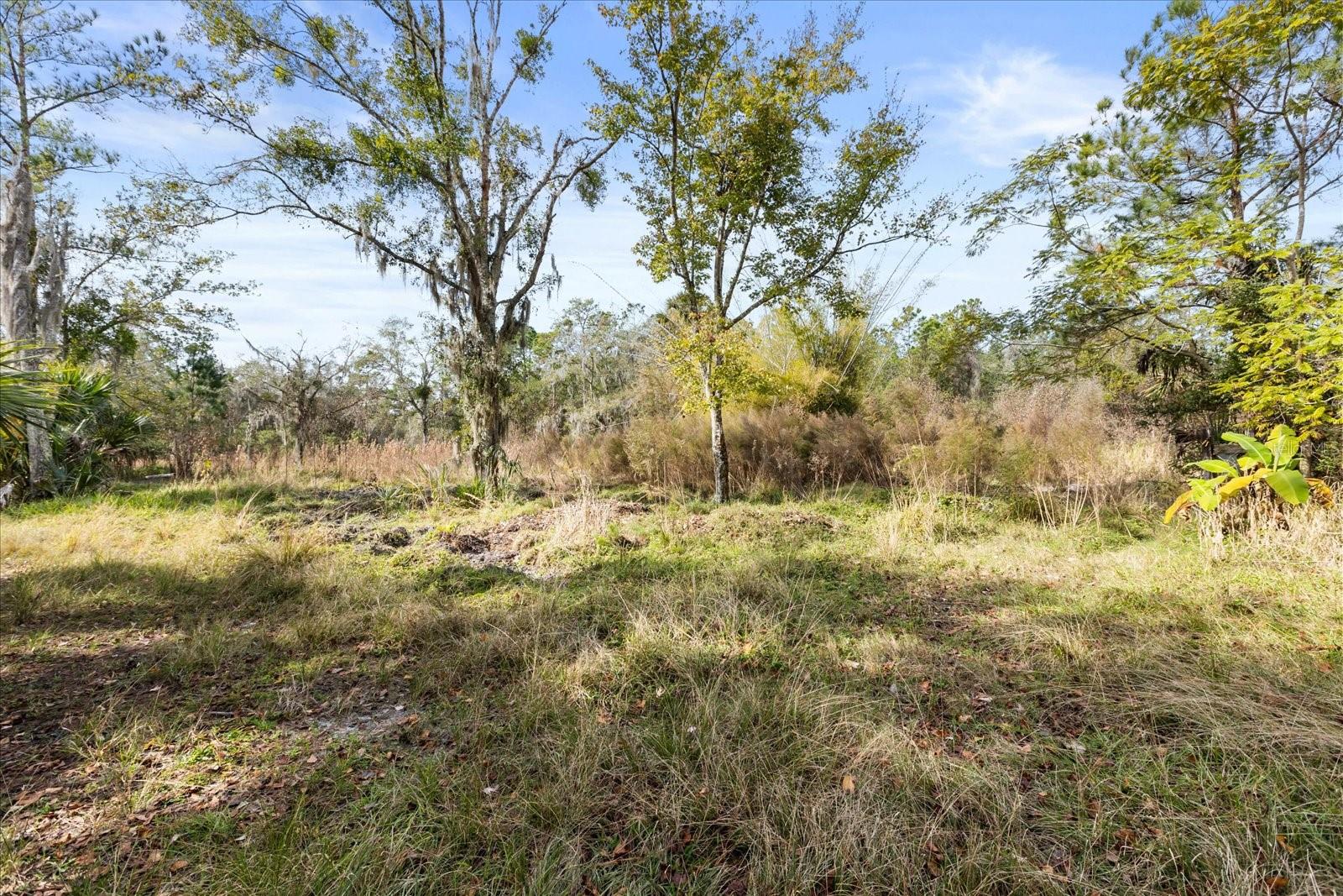 COCKRAN FOREST 5 ACRE DEV 21 PARCELS - Residential