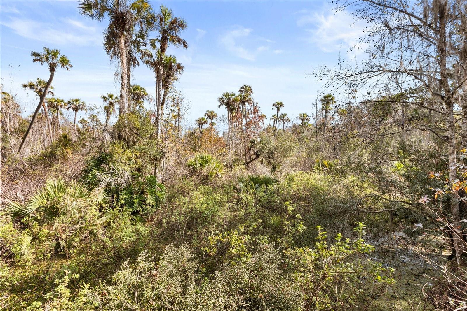 COCKRAN FOREST 5 ACRE DEV 21 PARCELS - Residential