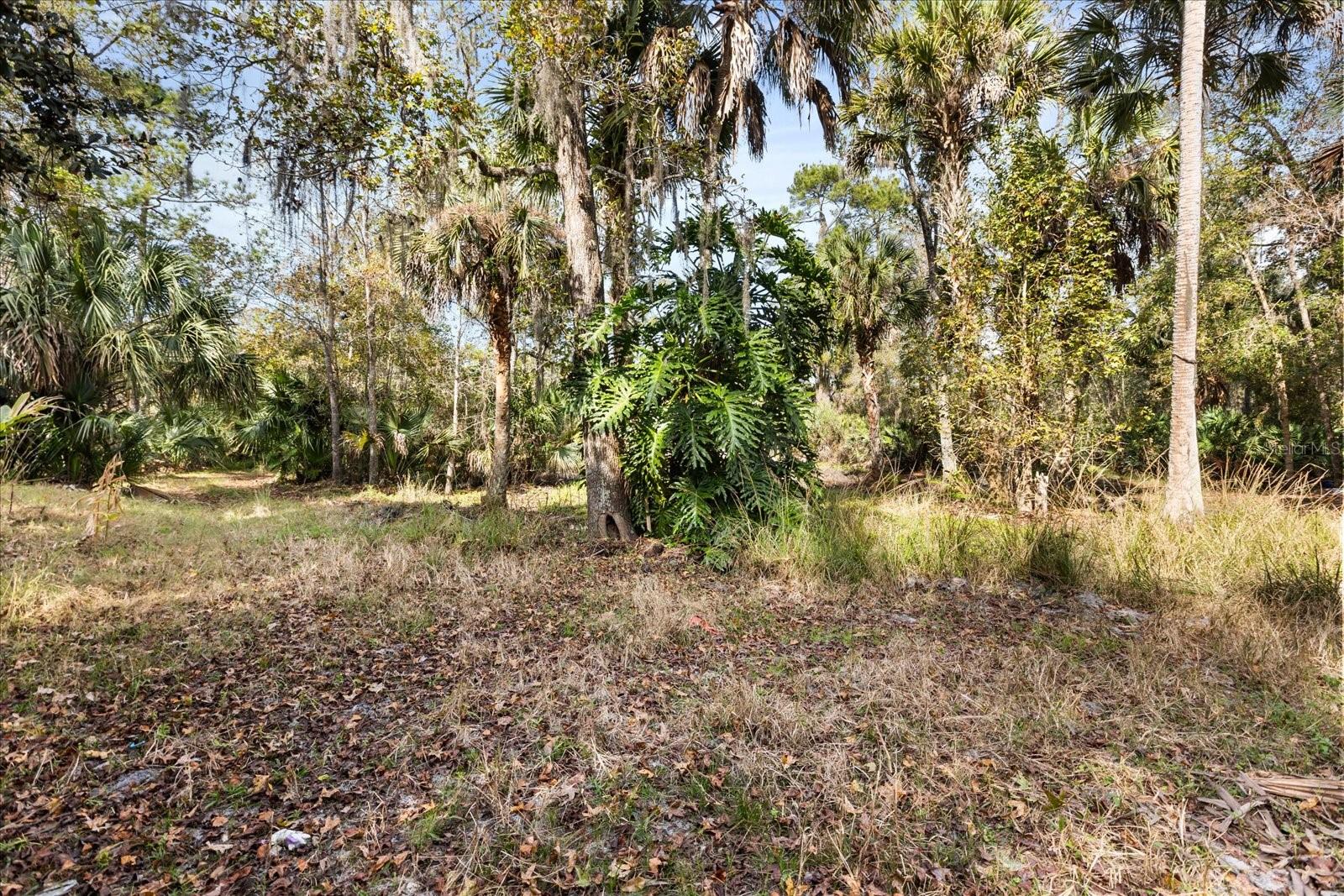 COCKRAN FOREST 5 ACRE DEV 21 PARCELS - Residential