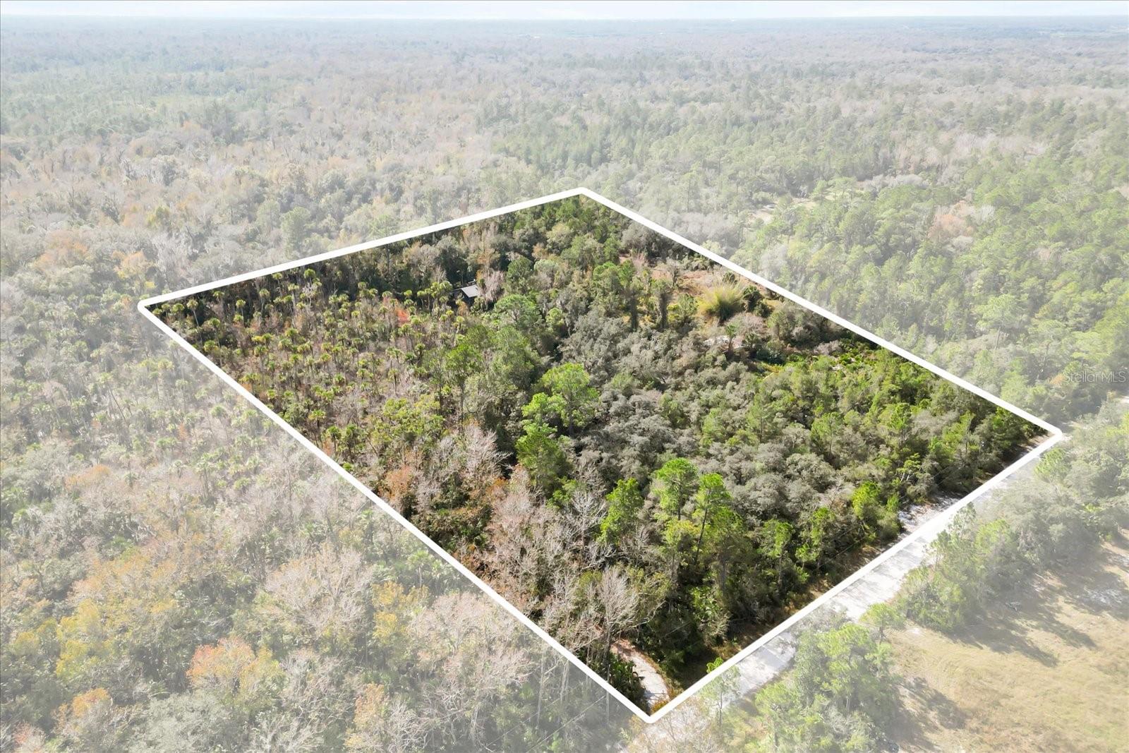 COCKRAN FOREST 5 ACRE DEV 21 PARCELS - Residential