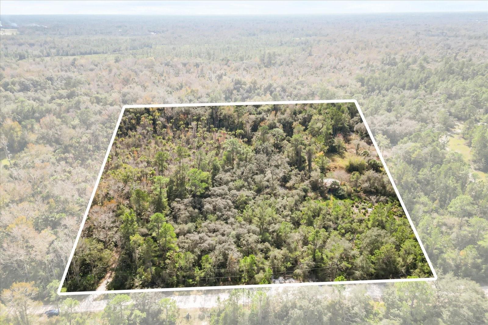 COCKRAN FOREST 5 ACRE DEV 21 PARCELS - Residential