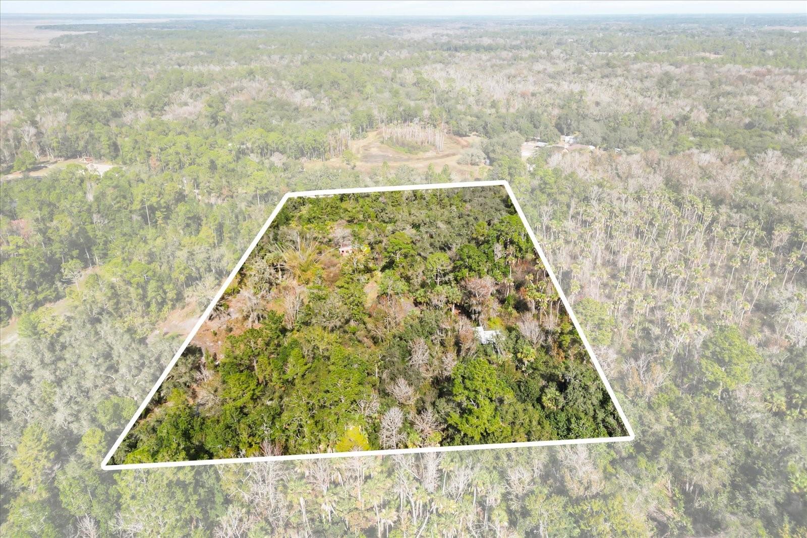 COCKRAN FOREST 5 ACRE DEV 21 PARCELS - Residential