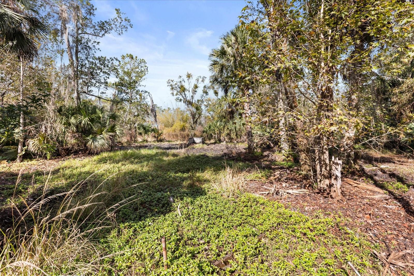 COCKRAN FOREST 5 ACRE DEV 21 PARCELS - Residential