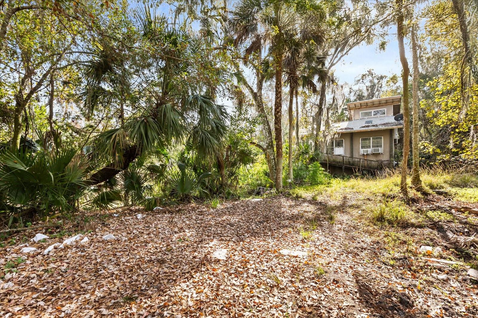 COCKRAN FOREST 5 ACRE DEV 21 PARCELS - Residential