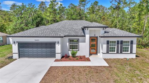 Photo of 13430 SW 88th Terrace, Ocala, FL 34473 (MLS # O6303375) Photo of 13430 SW 88th Terrace, Ocala, FL 34473 (MLS # O6303375)
