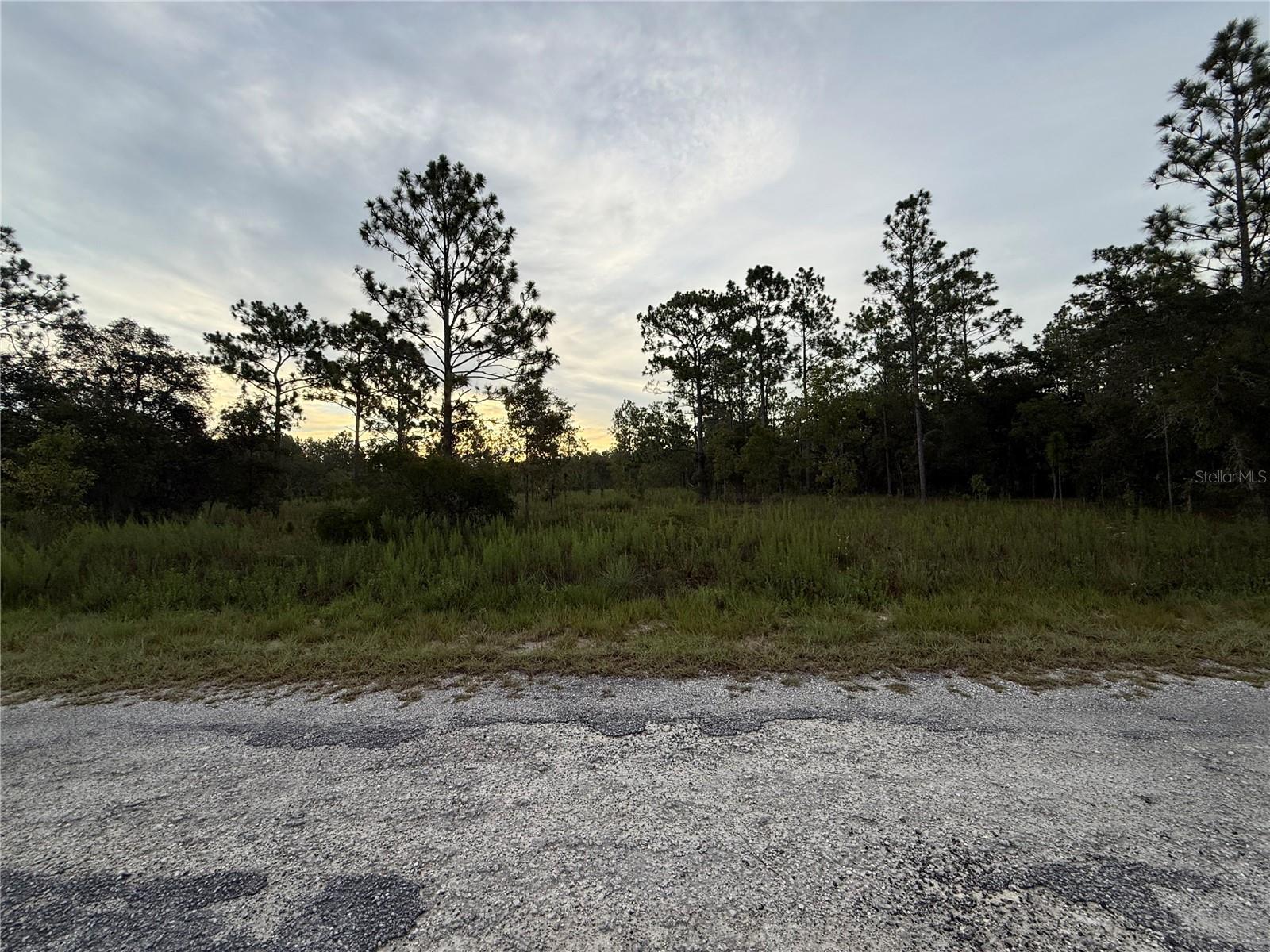 This great one-acre parcel is just minutes away from the enchanting Bonable Lake, which features a charming dock for fishing, a delightful park for play, and a picturesque gazebo to sit and relish the serene natural surroundings. It's the perfect time to build your dream home on this inviting blank canvas or embark on your next investment project here! Affordably priced, this parcel is not far from the popular Rainbow Springs State Park, and just minutes from several scenic trails and all the amenities you need in Dunnellon or Ocala. Turn your dreams into reality on this beautiful piece of land, where nature and tranquility lovingly await!