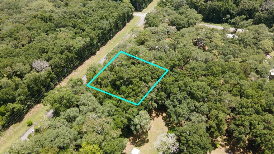 Build your home or put a Mobile home on this beautiful property.  Nestled in the serene landscapes of Fanning Springs, FL, this vacant lot at 16870 NW 80th Ave offers a promising canvas for your dream property. Encompassing .3 acres, this parcel presents ample space for various development possibilities.

Surrounded by the natural beauty of Florida's countryside, the property is ideally located for those seeking tranquility and proximity to outdoor adventures. Just a 4-minute drive away, Fanning Springs State Park beckons with its crystal-clear spring and opportunities for swimming, boating, and picnicking.