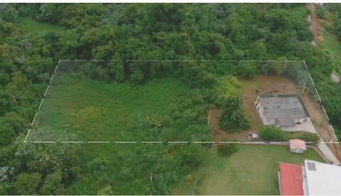 992 NE PABLO NIEVES (COCOLO) STREET 1 LUQUILLO  00773