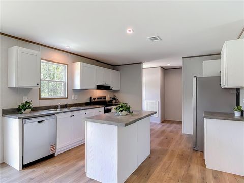 Tiny photo for 41740 Shadow Lane, Deland, FL 32720 (MLS # V4949881)