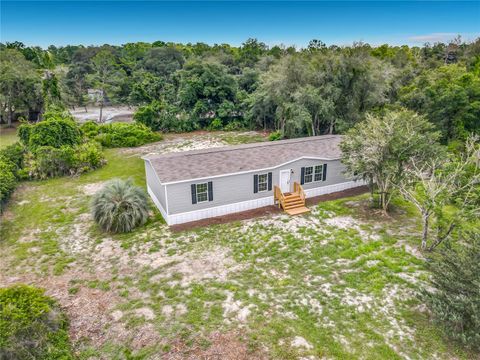 Tiny photo for 41740 Shadow Lane, Deland, FL 32720 (MLS # V4949881)