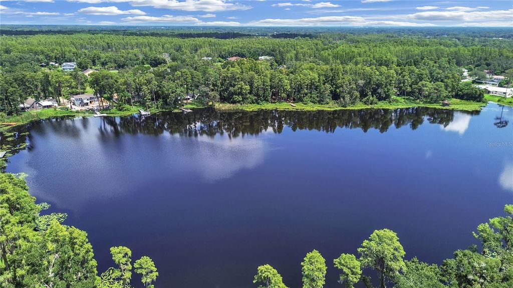 Photo of 407 2nd Avenue SE, Lutz, FL 33549 (MLS # TB8423907)