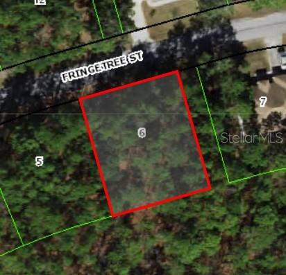 ***FLOOD ZONE "X"*** This fantastic 100' x 120' lot is located in the desirable community of Sugarmill Woods. It features a Flood Zone Rating of "X" meaning your home will be high and dry. Looking for extra room to enjoy your home? The Seller has the adjacent lot available for sale as well. Enjoy this established neighborhood for years to come. Don't miss out on this opportunity!