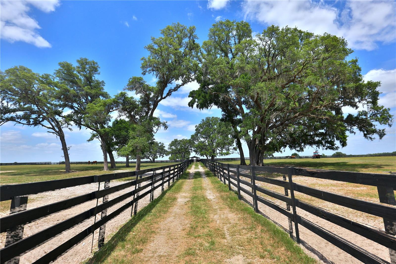 EMERALD MILE FARMS 10 - Residential