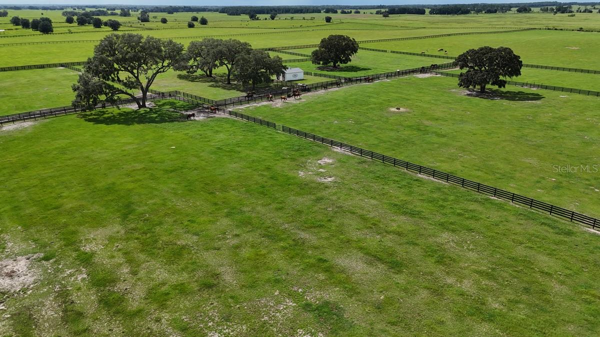 EMERALD MILE FARMS 10 - Residential