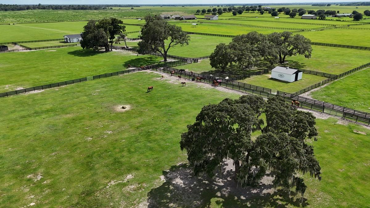EMERALD MILE FARMS 10 - Residential