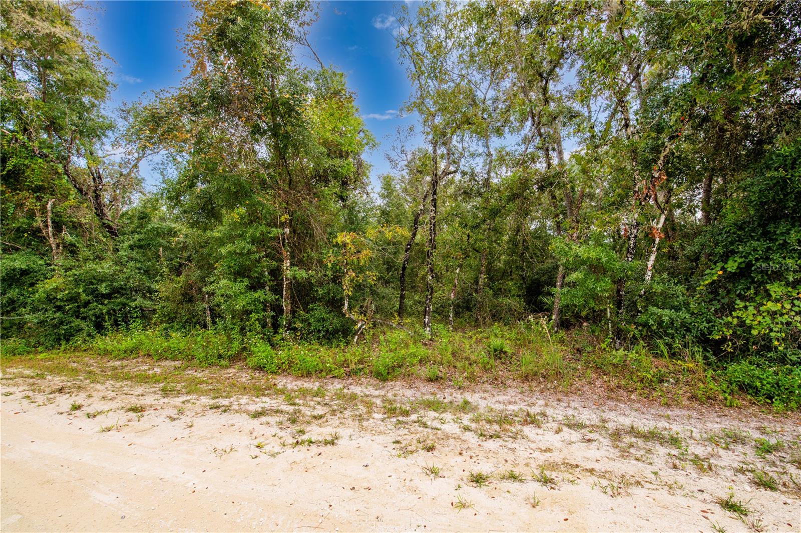 RIDGE MANOR ESTATE - Land