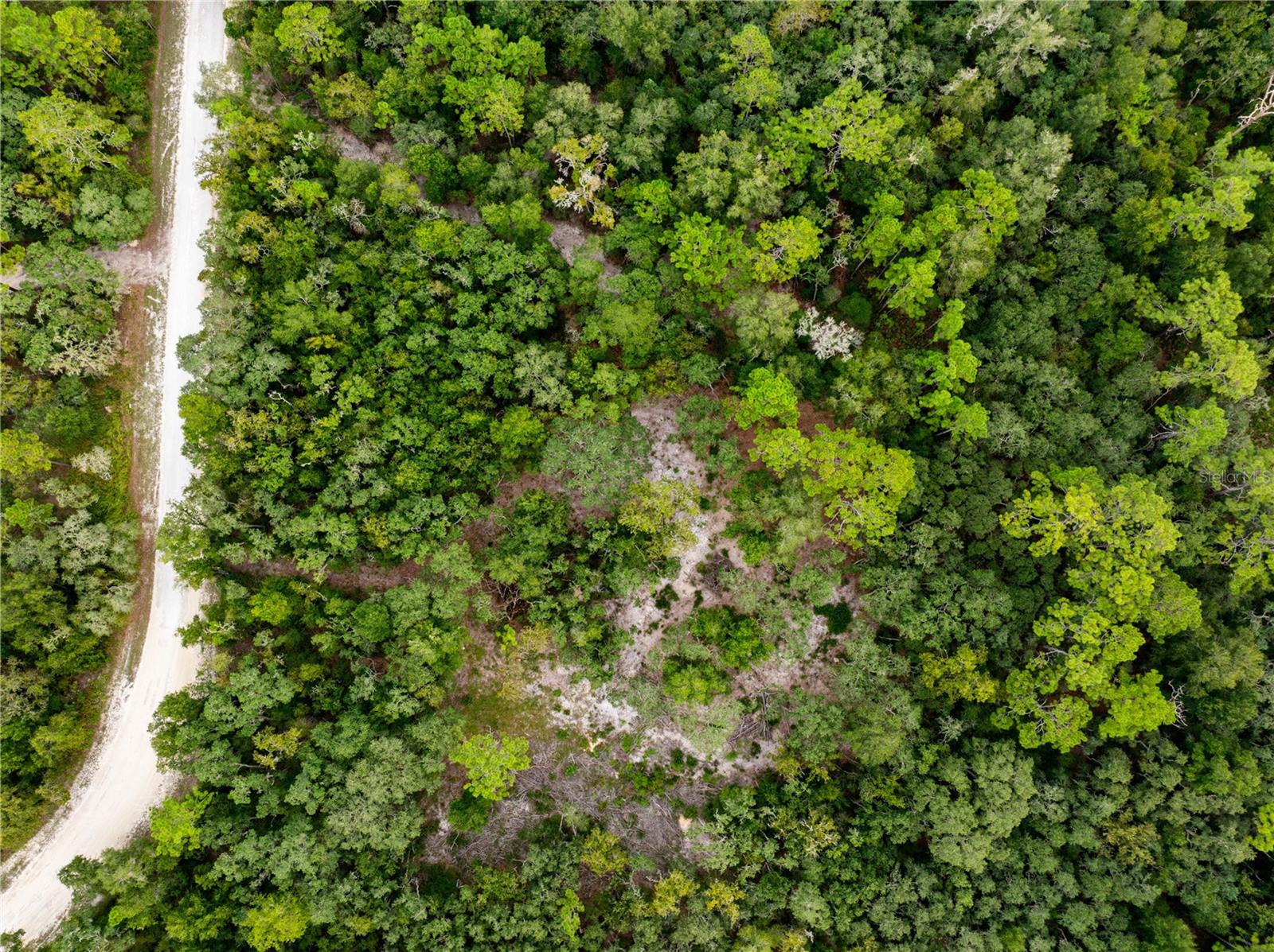 RIDGE MANOR ESTATE - Land