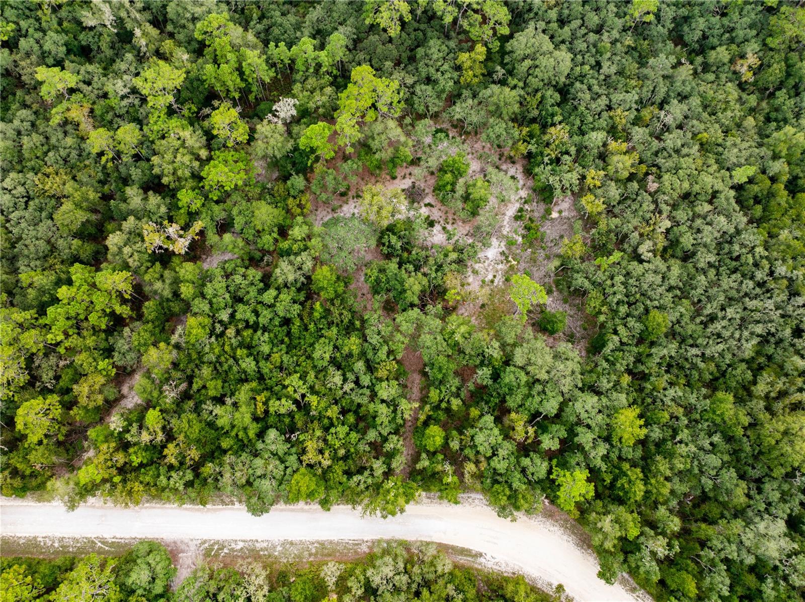 RIDGE MANOR ESTATE - Land