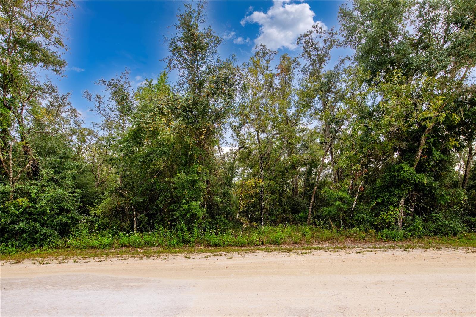 RIDGE MANOR ESTATE - Land