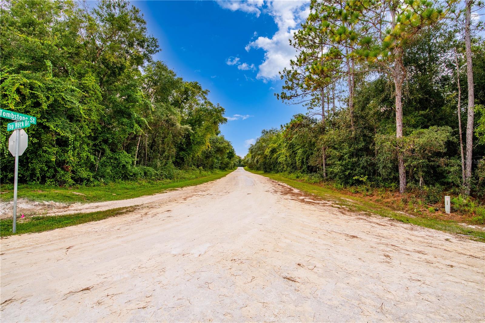 RIDGE MANOR ESTATE - Land