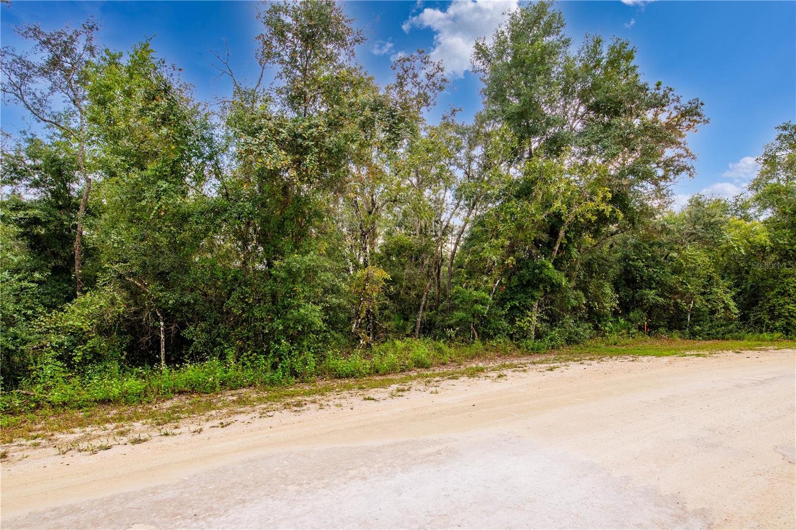 RIDGE MANOR ESTATE - Land