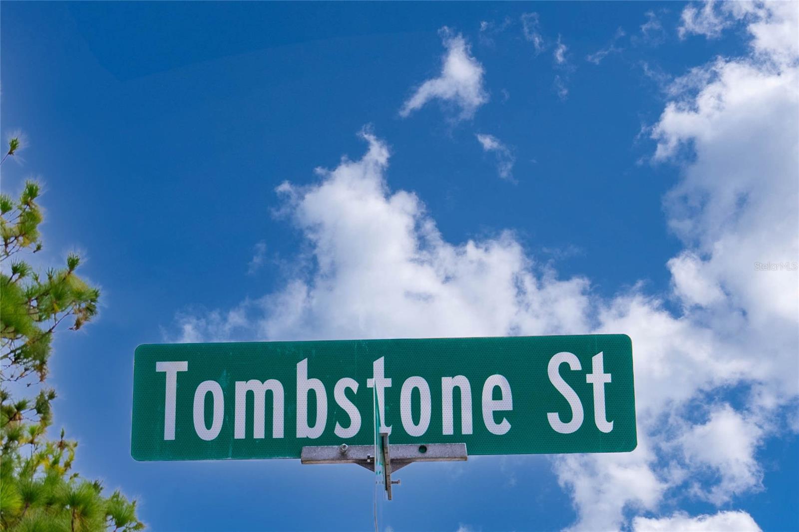 RIDGE MANOR ESTATE - Land