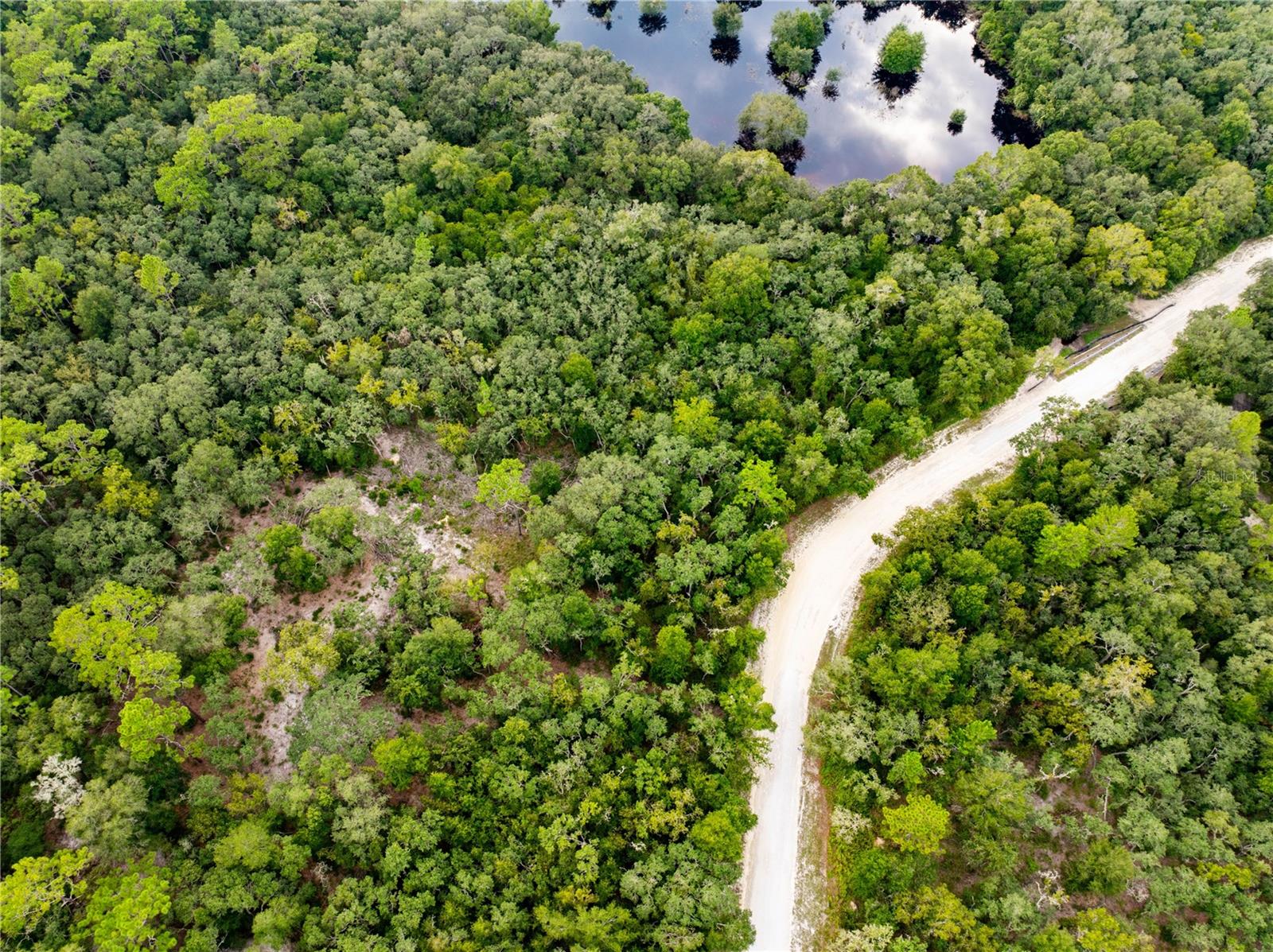 RIDGE MANOR ESTATE - Land