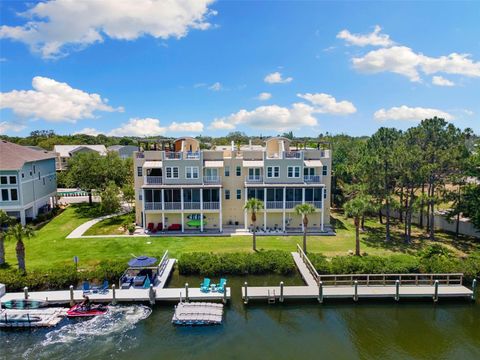 107 ATHENIAN WAY TARPON SPRINGS FL 34689