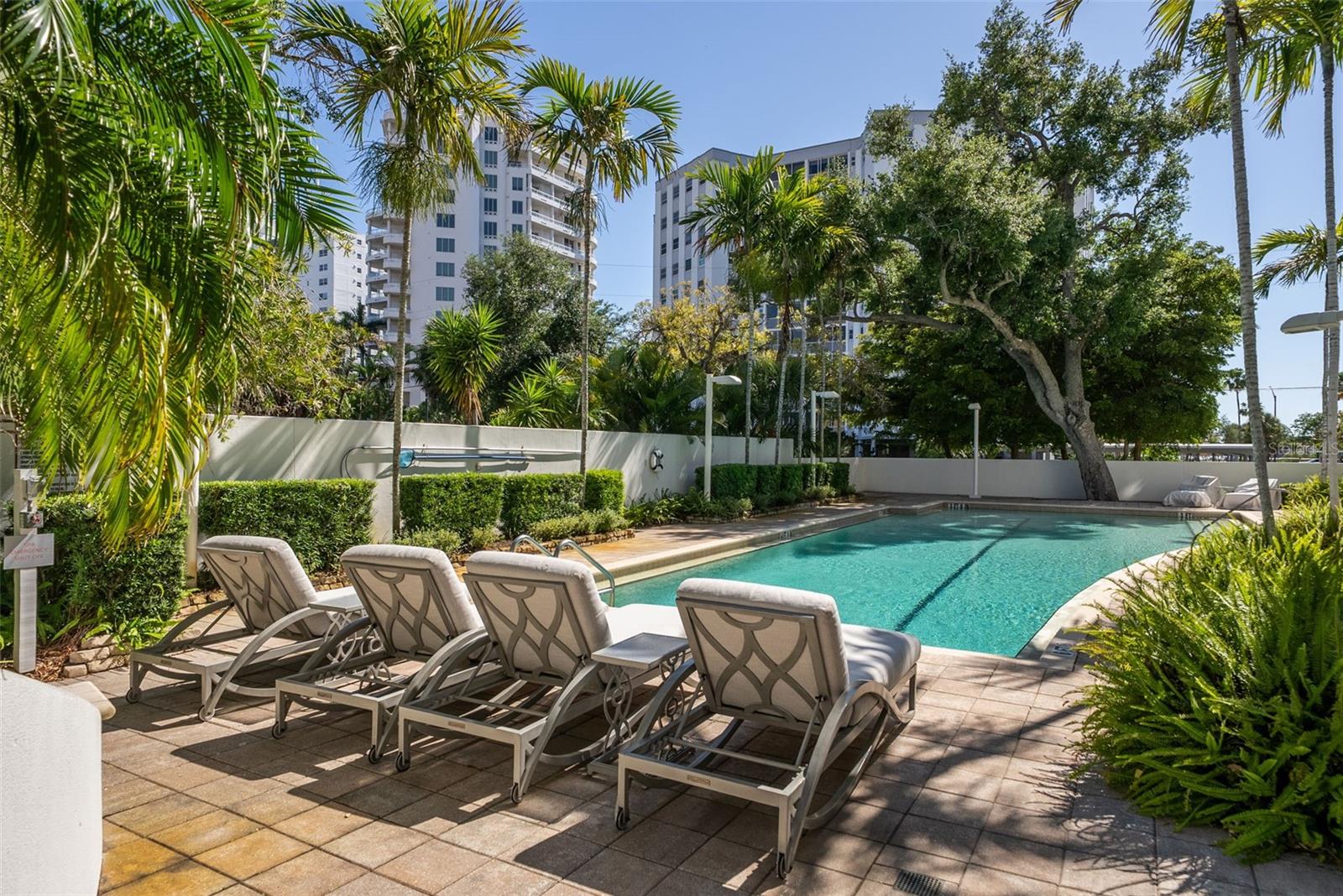 THE SAVOY ON PALM - Residential