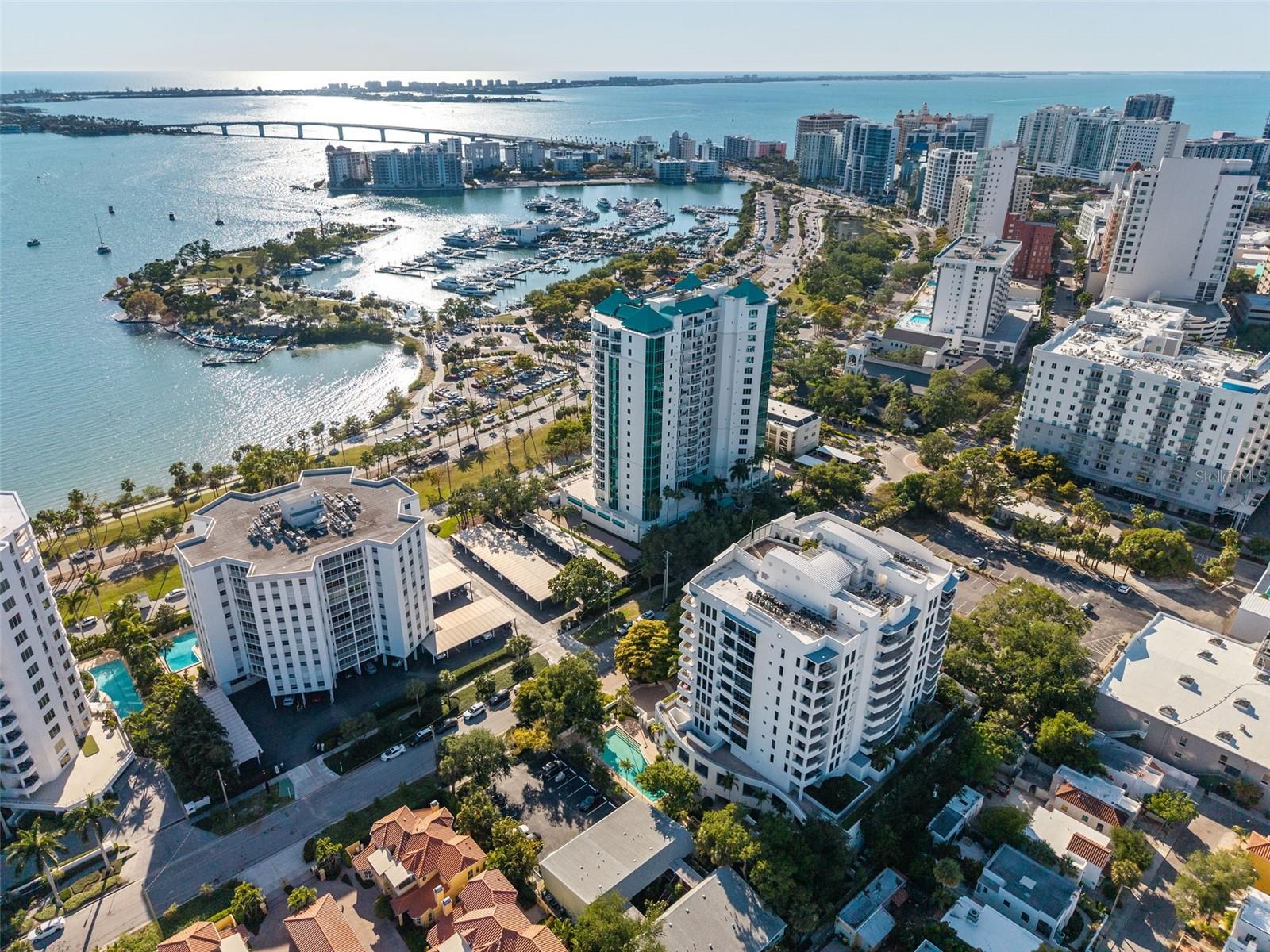 THE SAVOY ON PALM - Residential