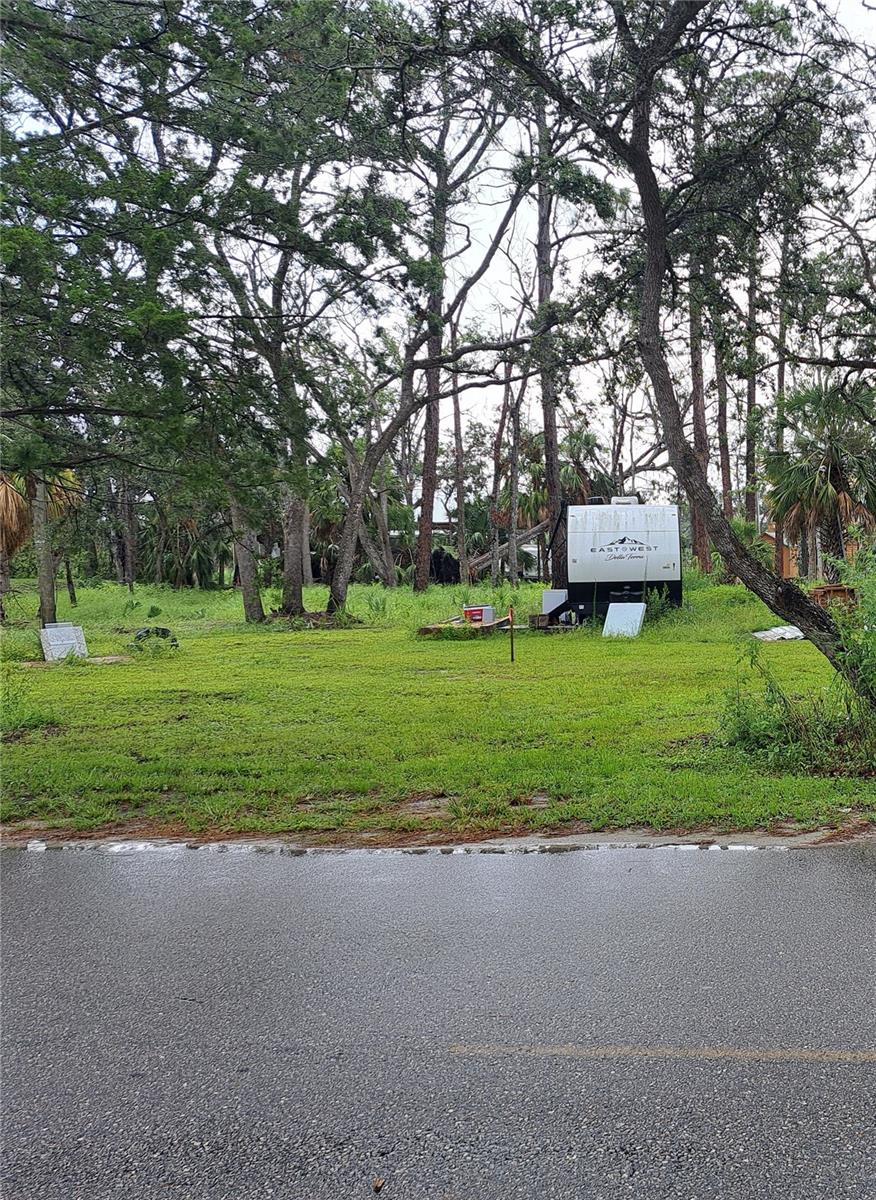 STEINHATCHEE SUB - Land