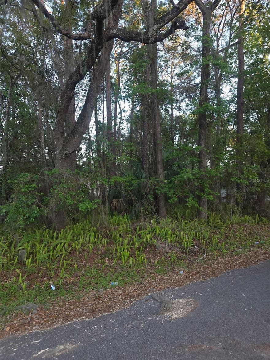 Great opportunity to own vacant residential land in the heart of Brooksville! This buildable lot located on Bethune Street offers convenient access to local amenities, schools, parks, and major roadways. Whether you're looking to build your dream home, invest, or hold land for future development, this property provides flexibility and long-term potential in a growing area of Hernando County.
Utilities are available nearby, including public water and electric, with buyer to verify availability, connection requirements, and any applicable impact fees with the appropriate utility providers and local municipality.
Don't miss this opportunity to secure land in an established neighborhood with nearby recreation and community resources.