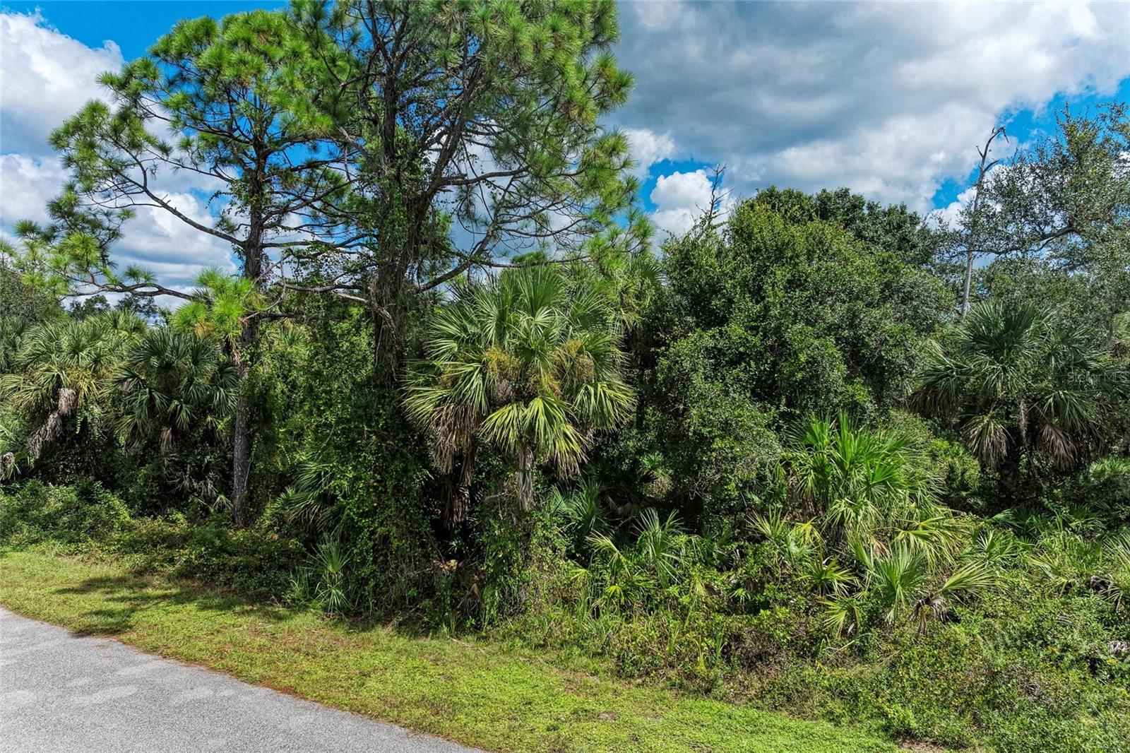 PORT CHARLOTTE SUB 12 - Land