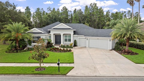 Photo of 20454 Lace Cascade Rd, Land O Lakes, FL 34637 (MLS # TB8526974)