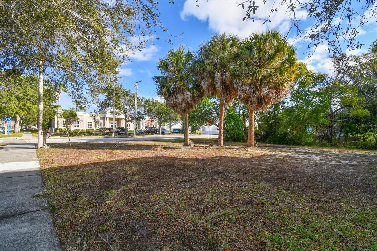 LITTLE GREECE - Commercial Sale