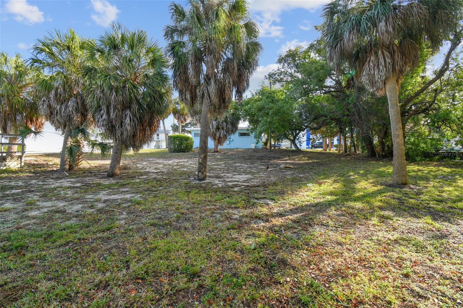 LITTLE GREECE - Commercial Sale