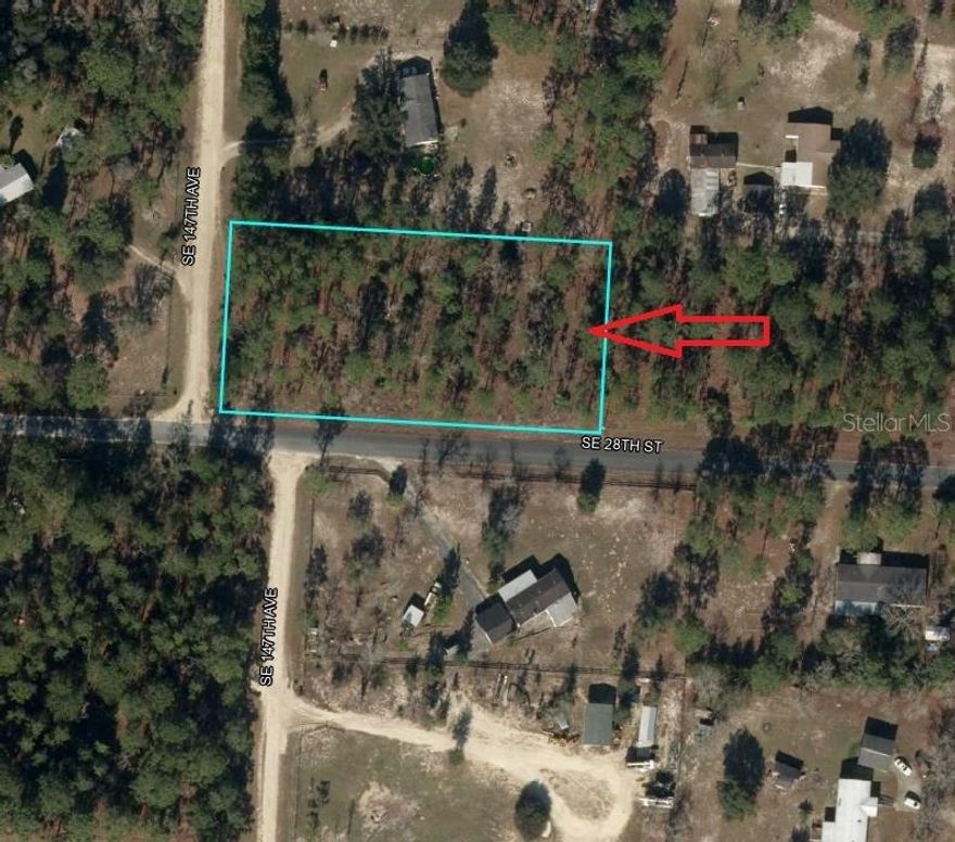 1.25 ACRE (CORNER LOT) IN RURAL LEVY COUNTY (MORRISTON), RIGHT IN THE MIDDLE OF HORSE COUNTRY, AND READY FOR YOUR NEW HOME TODAY !!! ENJOY ALL OF THE BEAUTIFUL NATURE WITHIN A SHORT DRIVE FROM THIS PROPERTY, ICLUDING THE BEUATIFUL RAINBOW RIVER, RAINBOW SPRINGS STATE PARK, CEDAR LAKES WOODS AND GARDENS, DEVIL'S DEN, AND SO MUCH MORE. GREAT COUNTRY LIVING, WITHIN APPROXIMATELY 30-40 MINUTES OF GAINESVILLE AND OCALA. COME CHECK THIS ONE OUT !!!