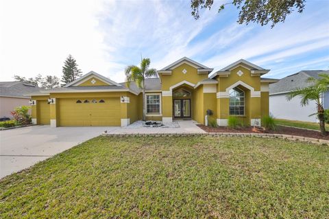 A home in RIVERVIEW