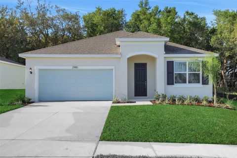 2980 SUPERMARINE ROAD TAVARES FL 32778