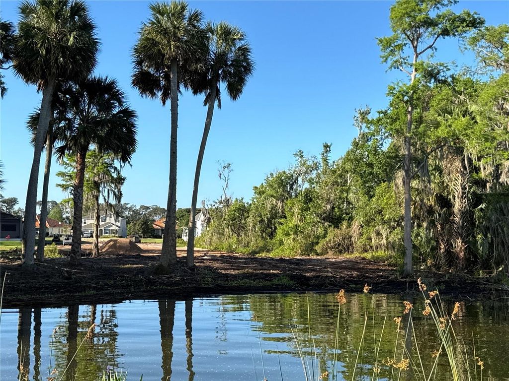 Photo of 4 Blue Heron Circle, Deer Island, FL 32778 (MLS # TB8371366)