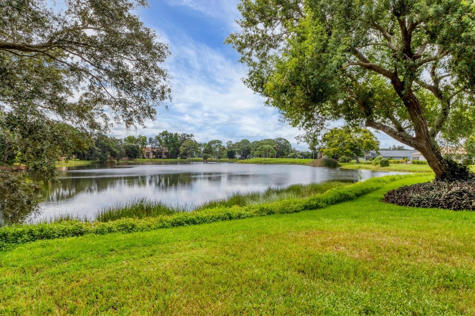 VILLAS OF PAPILLION - Residential