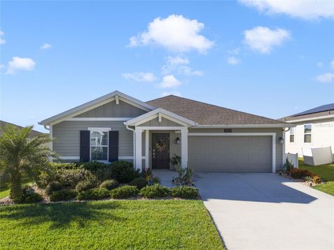 A home in MOUNT DORA