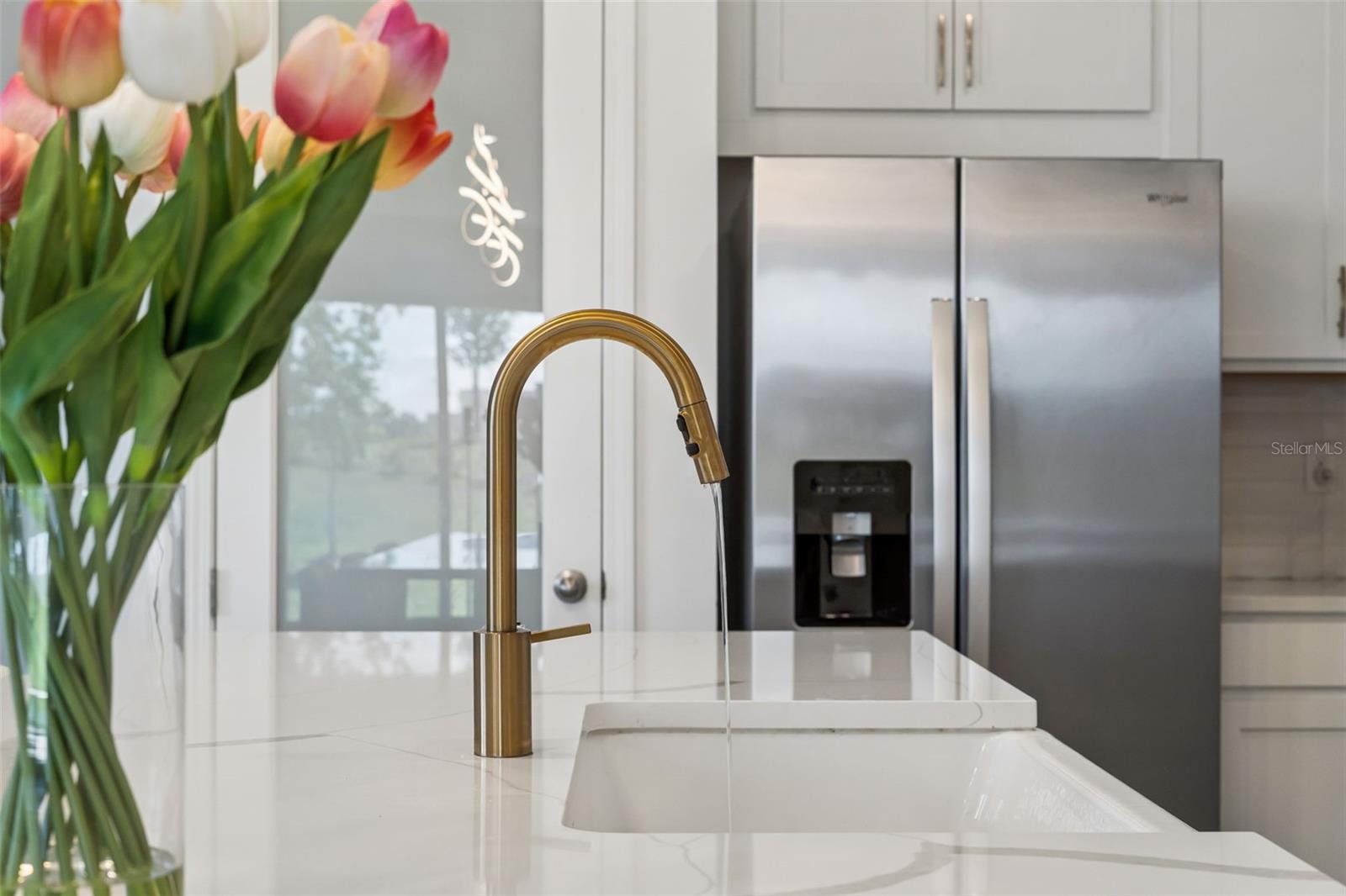 HILLS OF MINNEOLA - Residential