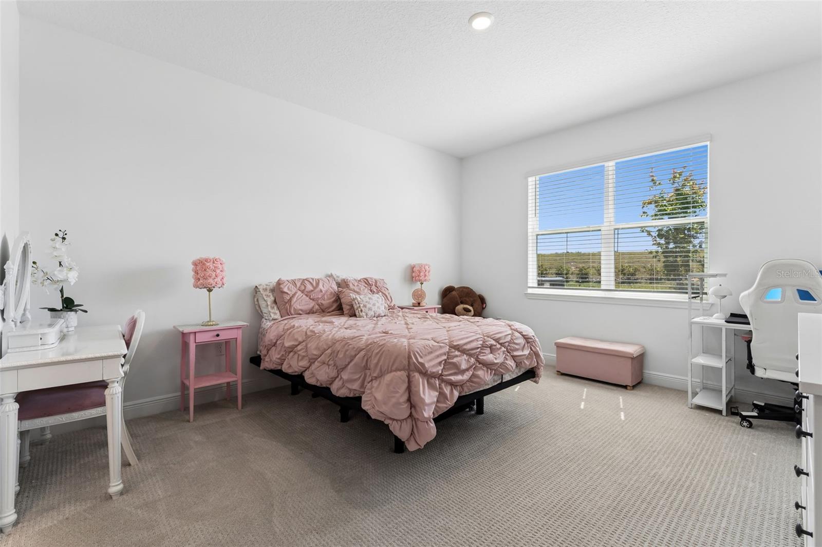 HILLS OF MINNEOLA - Residential