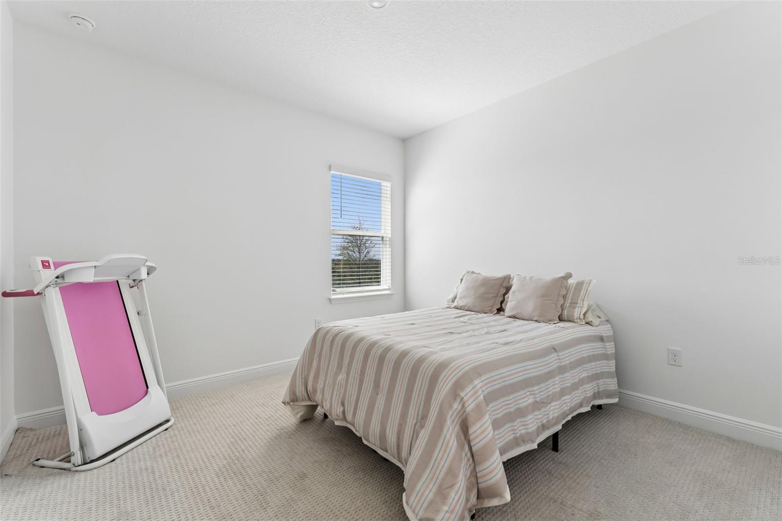 HILLS OF MINNEOLA - Residential