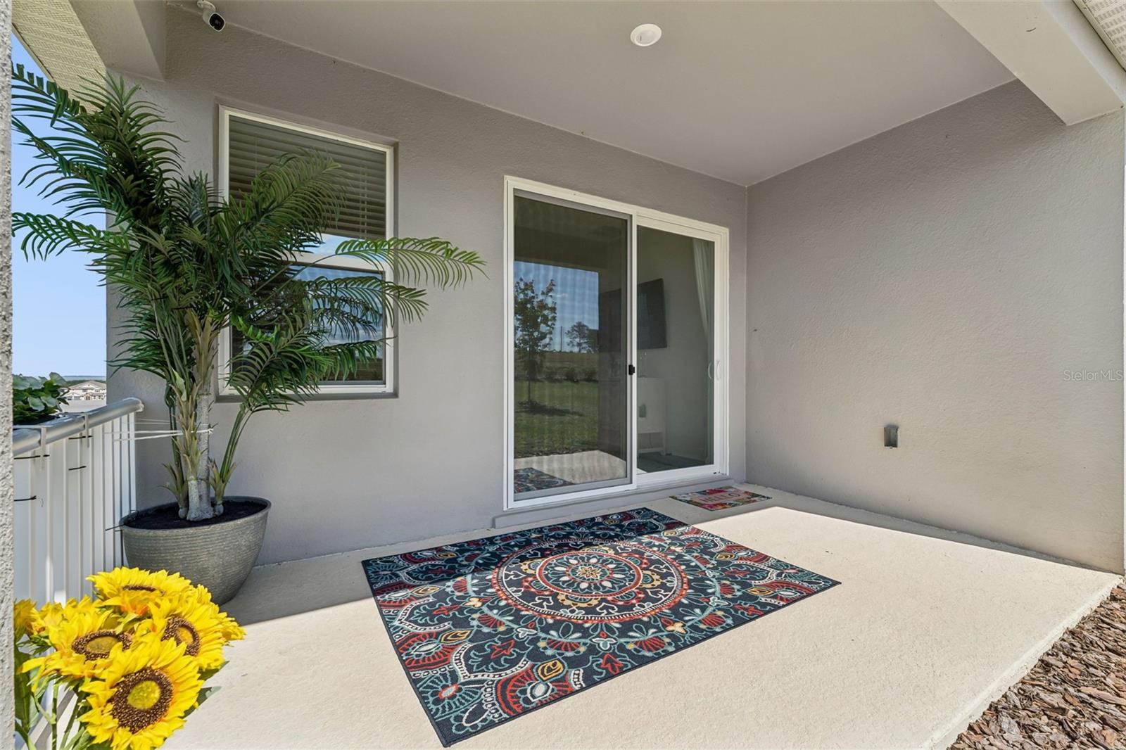 HILLS OF MINNEOLA - Residential