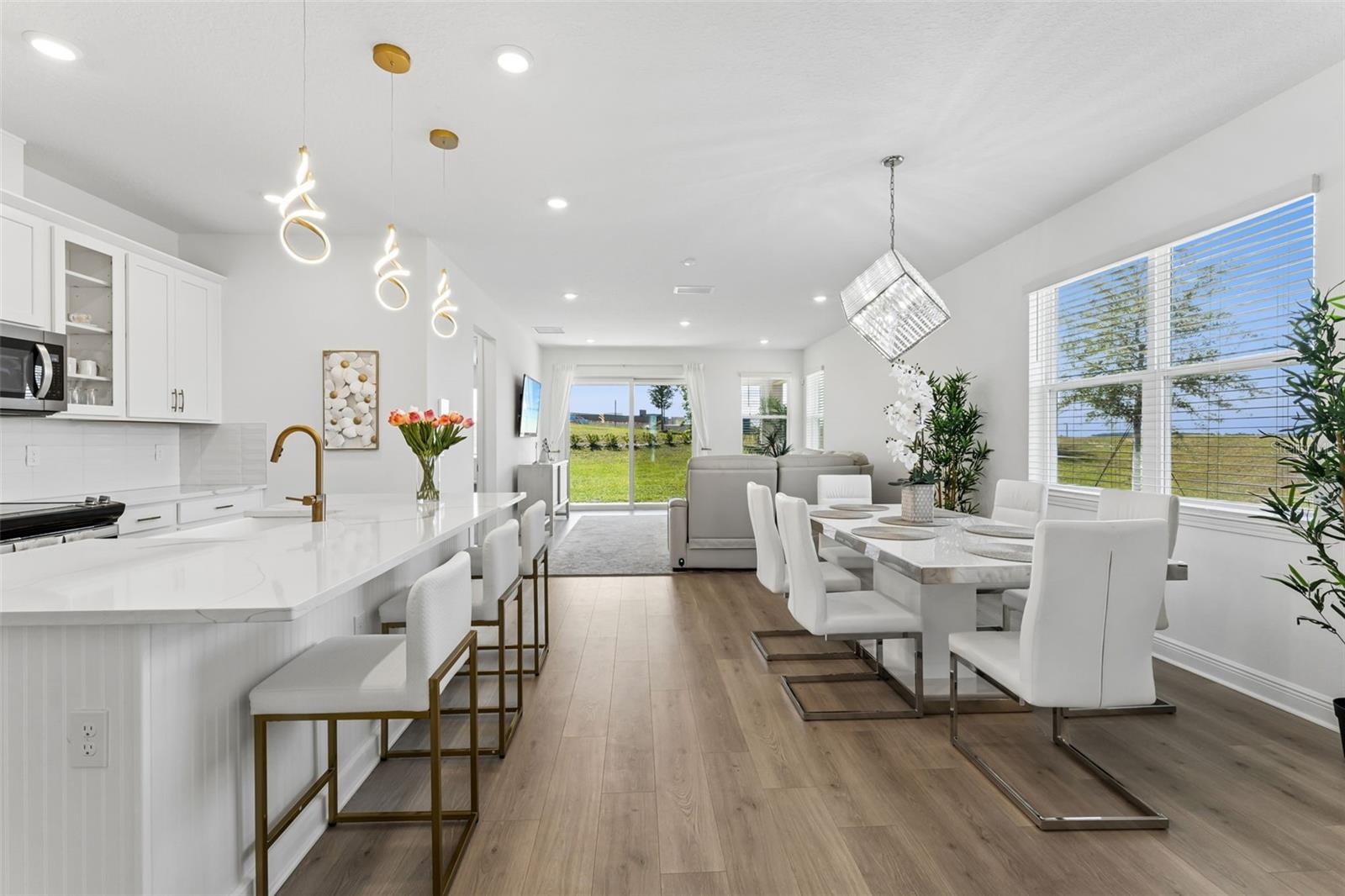 HILLS OF MINNEOLA - Residential